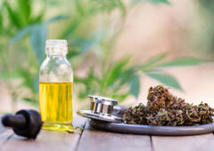CBD-Blüten versus CBD-Öl: Was passt besser zu welchem Bedarf?