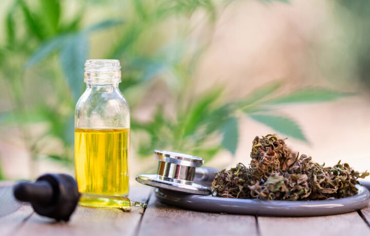 CBD-Blüten versus CBD-Öl: Was passt besser zu welchem Bedarf?